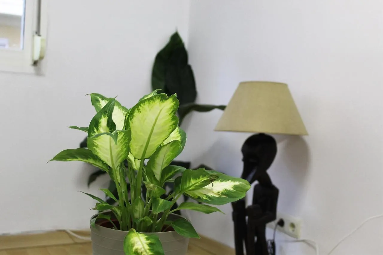Al Pie Del Camarin Con Parking Gratis Apartment Jaen